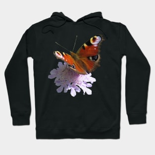 trendy with a beautiful flower, butterfly, peacock Hoodie